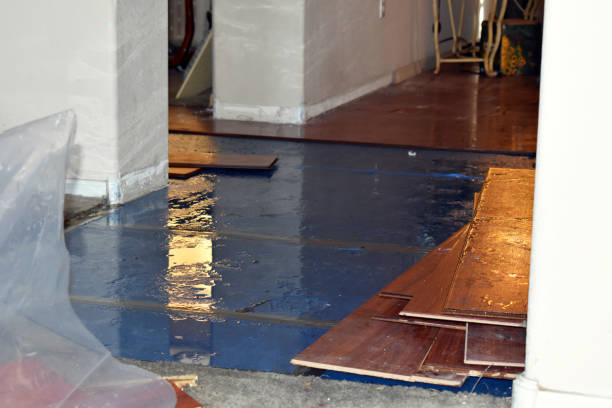 Professional Basement Flood Cleanup technician working in Stamping Ground, KY